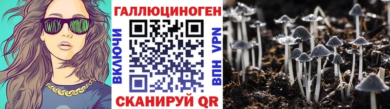 Купить где  Тавда  Галлюциногенные грибы мицелий 